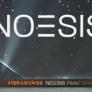 이시스디자인