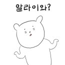 주라교역