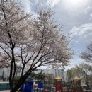 홍박공원 이미지