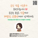 [공지] [조기마감] 노션 레벨업 스쿨 2기 강의 모집(AI·콘텐츠·강의·고객관리를 한 번에 끝내는 시스템)