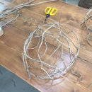 여주-0704 이미지