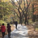 푸른마을의원 이미지