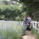 윤성목장 이미지