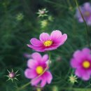 예일치과 이미지