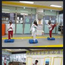 성실태권도 체육관 이미지