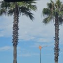 인화목장 이미지