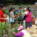 신방학초교 이미지