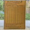 에드가채움 버스승강장 옆 | 뚜벅이 화담숲 가는 법, 버스 시간표, 2024년 10월 중순 단풍?