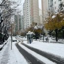 수원-1517 이미지