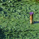 남양산역 이미지