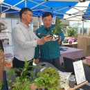 대송동행정복지센터 이미지