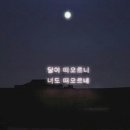 제주밥보장터 이미지
