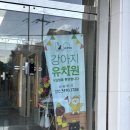 유폴 애견셀프목욕, 애견미용, 애견용품 직영점 이미지