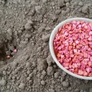 초당하우스 이미지