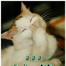 삽시당