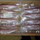 오늘의 생선 이미지