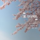 미르핏