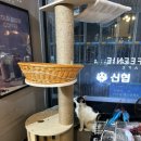 커피니공주점