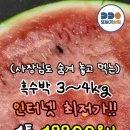 함안상회 | 비교 불가 역대급 특가! 고당도 흑수박 3~4kg 19,900원부터!