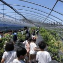 시지아이숲유치원 이미지