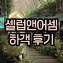 서울 강남 웨딩홀 셀럽앤어셈 하객 후기 (feat 가방순이 팁 공유)
