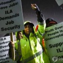 고려종합비료 이미지