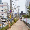 오류5길 이미지