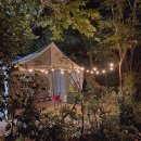 북창선초등학교 | Info. 남해 버드하우스캠핑장 후박 명당후기