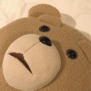 땡큐멍냥 | [진돗개애곰] 셰퍼드 보이팜즈 주식 동결건조사료 뿌시기, 돼지편🐷