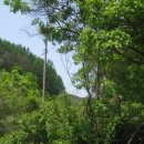 상운초등학교 이미지