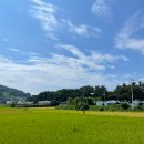 비스트로피자 사상점 | [250901~250902] 1박 2일 남해 여행