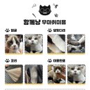 함께냥 앤 함께냥품 북수원점 이미지