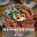 루루 반려견 | 분위기 좋은 해운대애견동반 브런치 카페 오이라, 반려견과 힐링 시간.