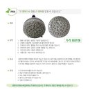 행복한배꼽방 이미지