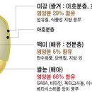 전기 밥솥 시대에 밥맛을 결정하는 도정① 이미지