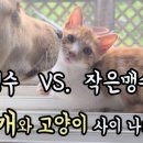 진복농장 이미지