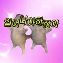 아침이 왔다잔아 깨야 하잔아 왜 그래 도대체 일어나야 하잔아 맞잔아 아침이 왔다잔아 잠 깨잔아 잠 깨잔아 일어나야지 일어날 때 됐잔아 이미지
