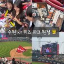 첫 원정! 수원 kt 위즈 파크 다녀온 기아 팬 후기
