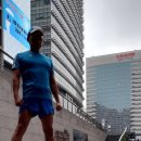 와룡헬스 이미지