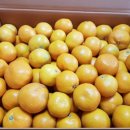 효우농장 이미지