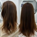 강남-224 | ［ 강남 / 논현 ] 강남미용실 학동역 이피헤어 비건케어브러싱 │ 보브장인 승한쌤 클리닉 대만족 후기