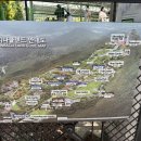 꽃동산분식 | [충남 아산] 5월의 봄꽃 축제 가볼만한 곳 - 피나클랜드 수목원 방문 후기