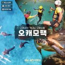 나를 지켜가는 인문학 동행 | 세부 오캐모 투어 후기 내돈내산 솔직한 평가 feat.세친구투어