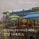 안양박물관 | 안양예술공원 더테라스 루프탑식당 저녁모임 내돈내산 솔직후기