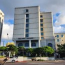 제주로베로 이미지