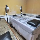 코끝의봄한의원 이미지