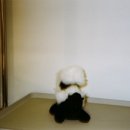 뉴믿음사 이미지