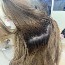 모브헤어 - 세종특별자치시 어울누리로 67 | 봉선동 미용실 모브헤어 봉선점에서 회빛 베이지 염색한 솔직 후기