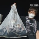 야참박스 이미지