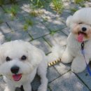 보듬보듬 이미지